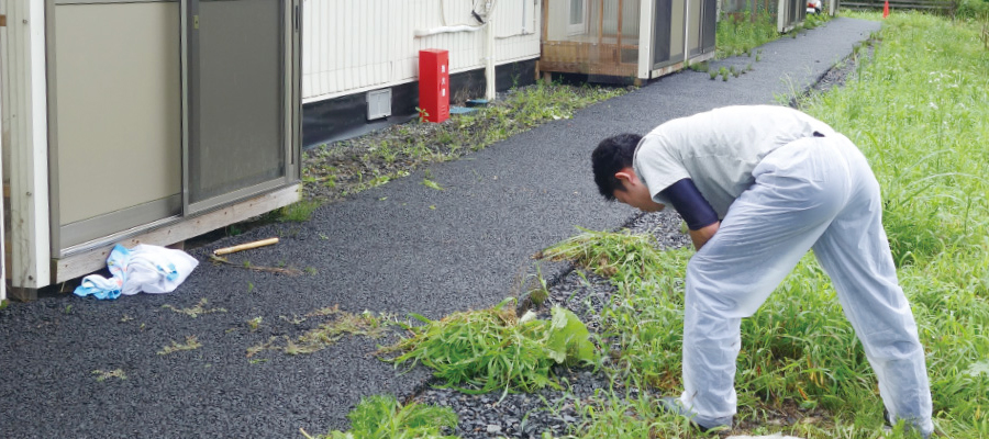 災害ボランティアステーション